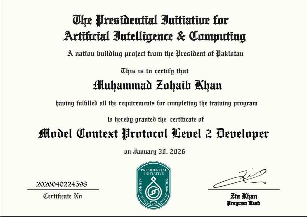 Model Context Protocol Level 2 Developer
